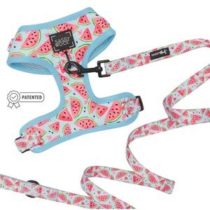 SASSY WOOF xs oh my melons harness and leash set
